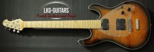 Music Man Steve Morse 010